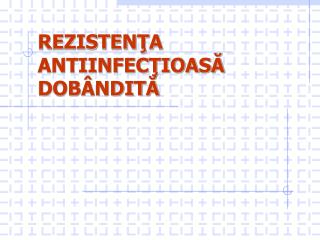 rezisten a antiinfec ioas dob ndit