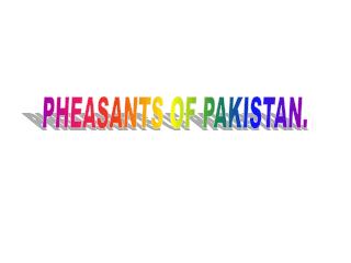 PHEASANTS OF PAKISTAN.