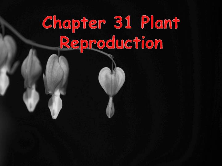 chapter 31 plant reproduction