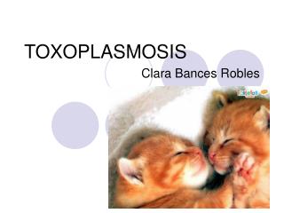 toxoplasmosis
