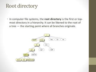 Root directory
