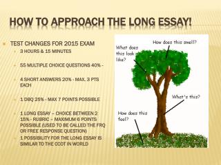 HOW TO APPROACH THE LONG ESSAY!