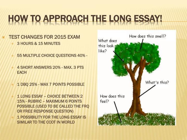 how to approach the long essay
