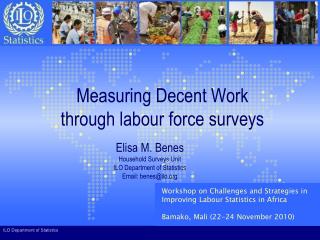 Measuring Decent Work through labour force surveys