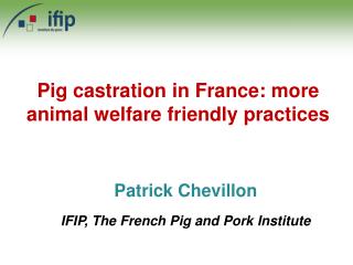 Pig castration in France: more animal welfare friendly practices
