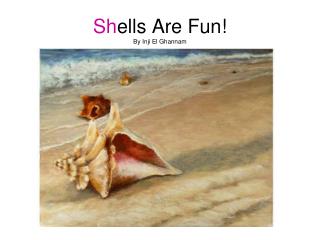 Sh ells Are Fun! By Inji El Ghannam