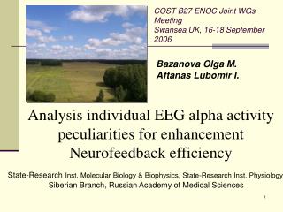Analysis individual EEG alpha activity peculiarities for enhancement Neurofeedback efficiency