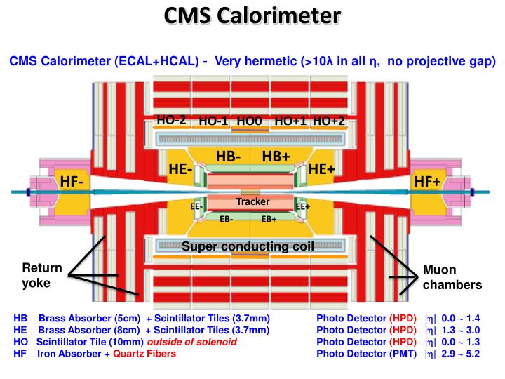 cms calorimeter