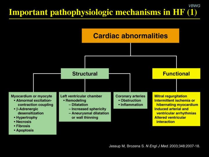 important pathophysiologic mechanisms in hf 1