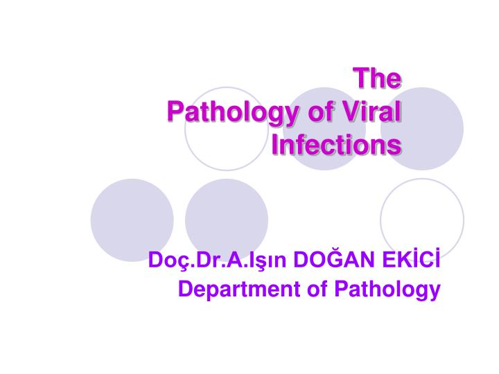 the pathology of viral infections