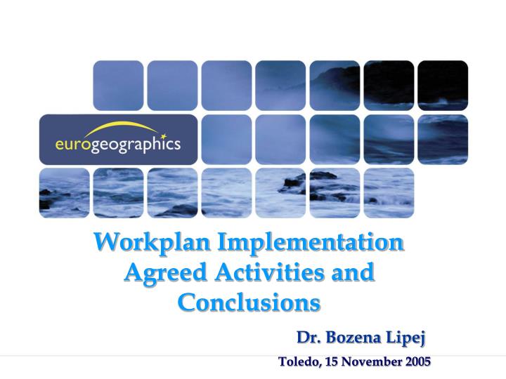 workplan implementation agreed activities and conclusions