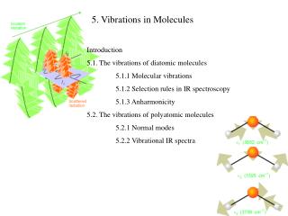 Introduction 5.1. The vibrations of diatomic molecules 	5.1.1 Molecular vibrations
