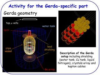 Activity for the Gerda-specific part