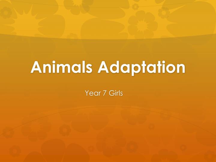 animals adaptation