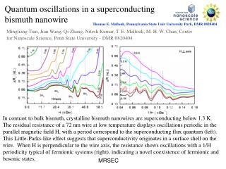 Quantum oscillations in a superconducting bismuth nanowire