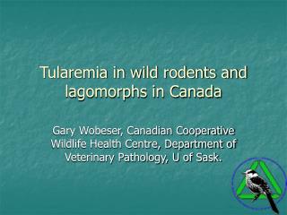 Tularemia in wild rodents and lagomorphs in Canada