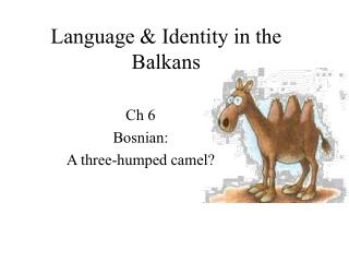 Language &amp; Identity in the Balkans