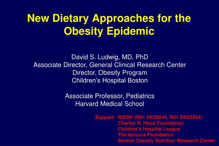 new dietary approaches for the obesity epidemic