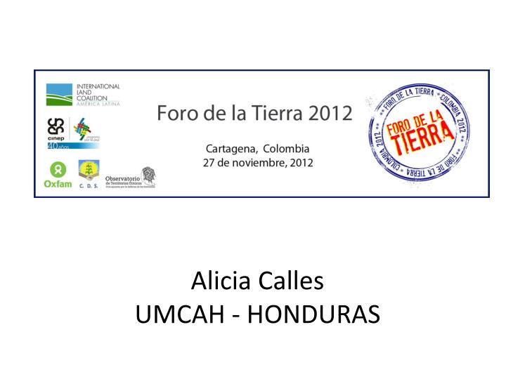 alicia calles umcah honduras