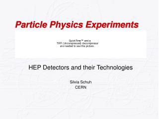 Particle Physics Experiments