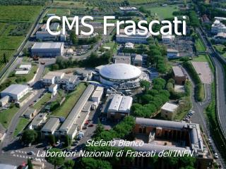 CMS Frascati