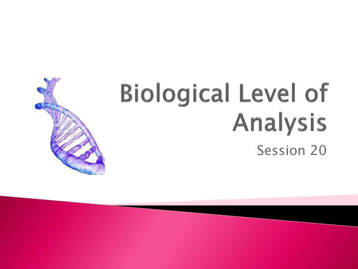biological level of analysis