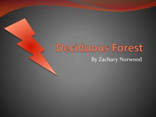 Deciduous Forest