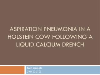Aspiration Pneumonia in A Holstein Cow Following a Liquid Calcium Drench