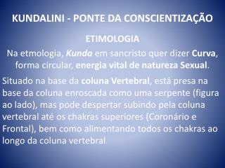 kundalini ponte da conscientiza o