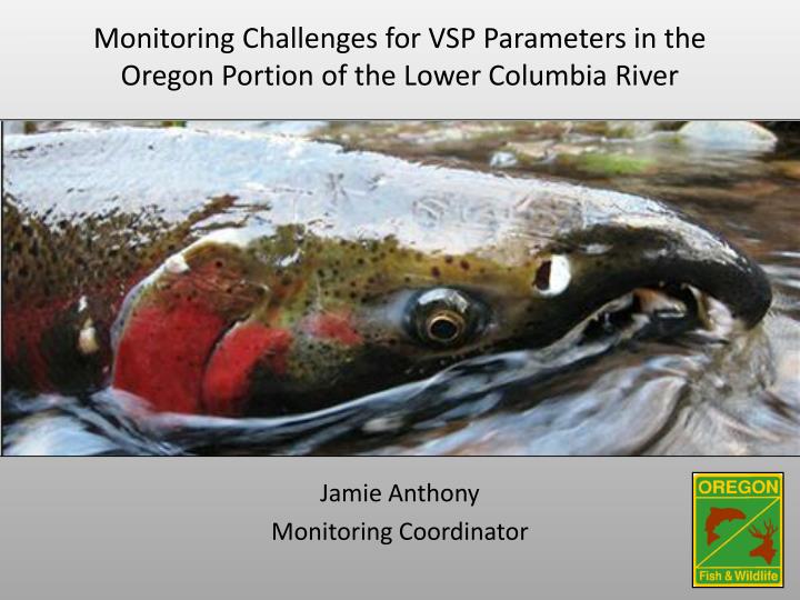 monitoring challenges for vsp parameters in the oregon portion of the lower columbia river