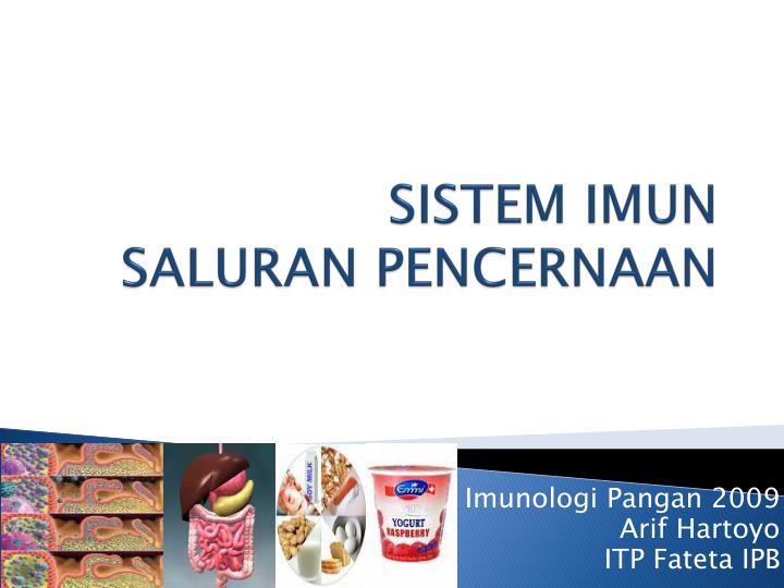 sistem imun saluran pencernaan