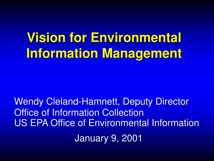 vision for environmental information management