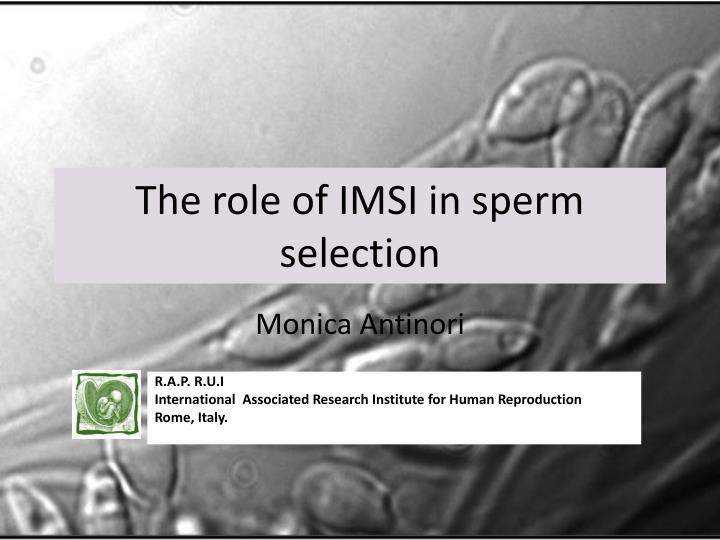 the role of imsi in sperm selection