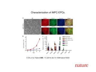 S Zhu et al. Nature 000 , 1-5 (2014) doi:10.1038/nature13020