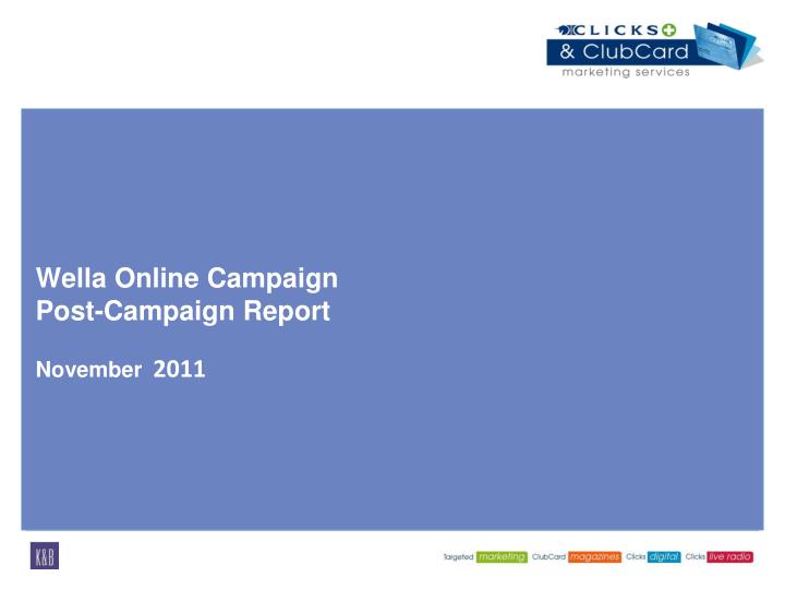 wella online campaign post campaign report november 2011