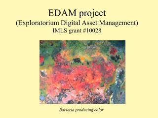 EDAM project (Exploratorium Digital Asset Management) IMLS grant #10028