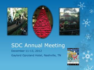 SDC Annual Meeting
