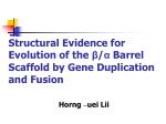 Structural Evidence for Evolution of the β / α Barrel Scaffold by Gene Duplication and Fusion - slide 1
