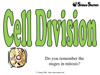 Cell Division