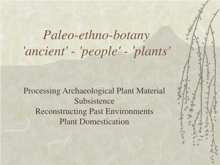 paleo ethno botany ancient people plants