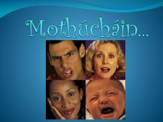 moth ch in