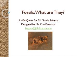 Fossils: What are They?