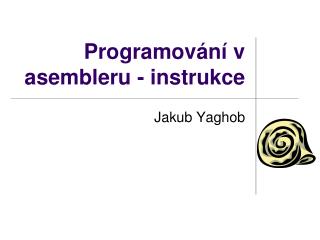 p rogramov n v asembleru instrukce