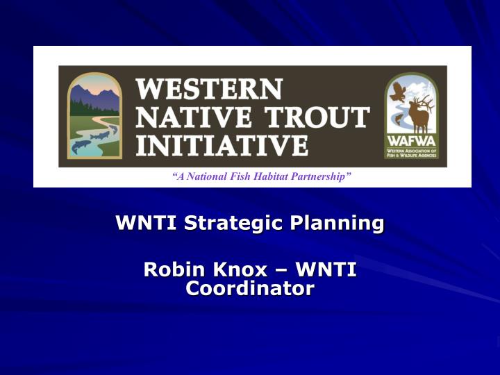 wnti strategic planning robin knox wnti coordinator