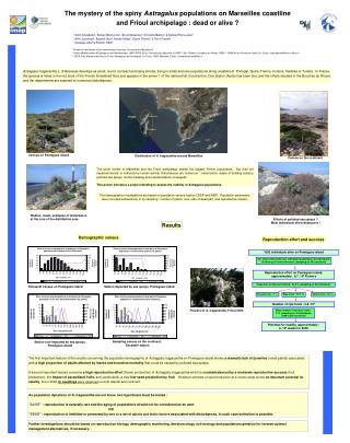 The mystery of the spiny Astragalus populations on Marseilles coastline