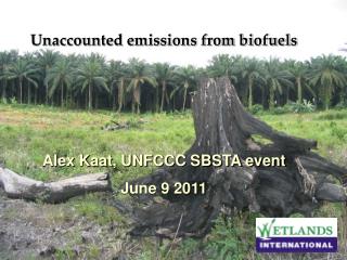 Unaccounted emissions from biofuels Alex Kaat, UNFCCC SBSTA event June 9 2011