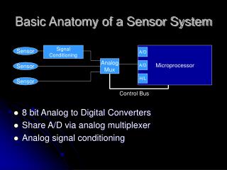 Basic Anatomy of a Sensor System
