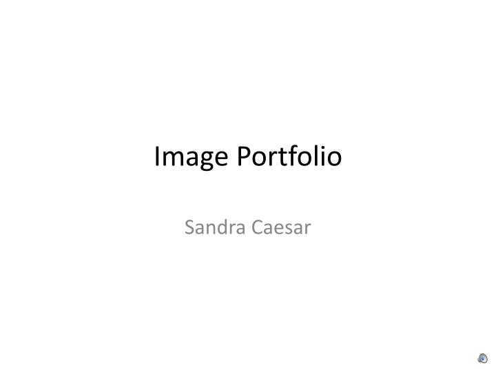 image portfolio