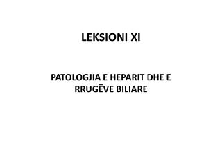 leksioni xi