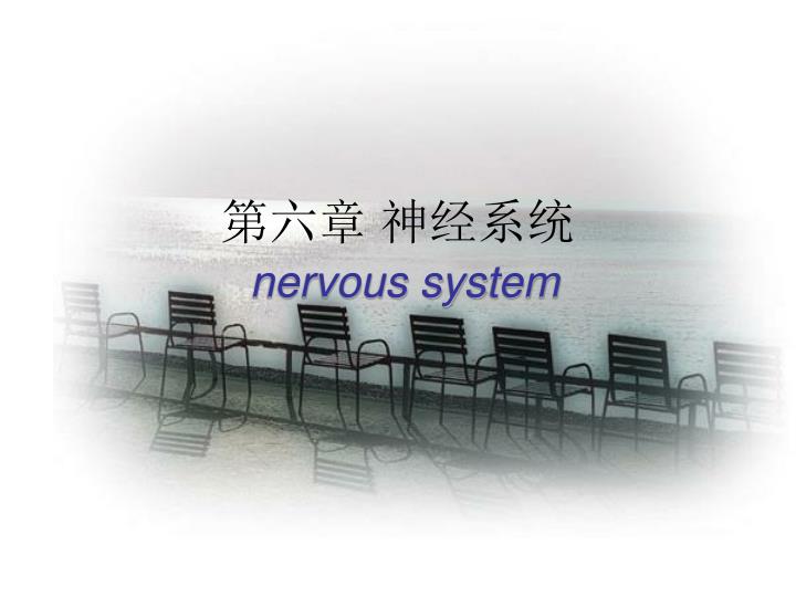 nervous system